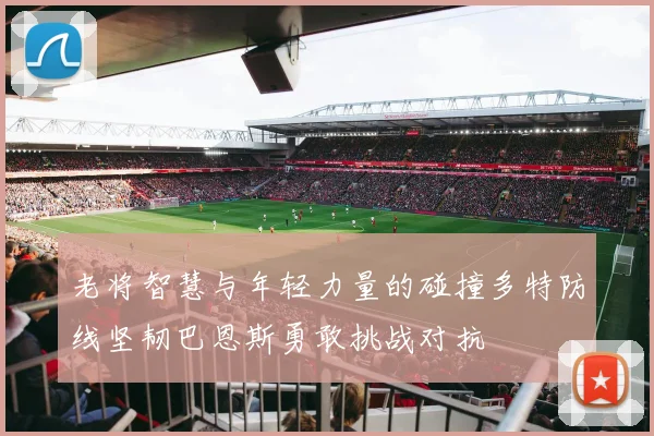 老将智慧与年轻力量的碰撞多特防线坚韧巴恩斯勇敢挑战对抗